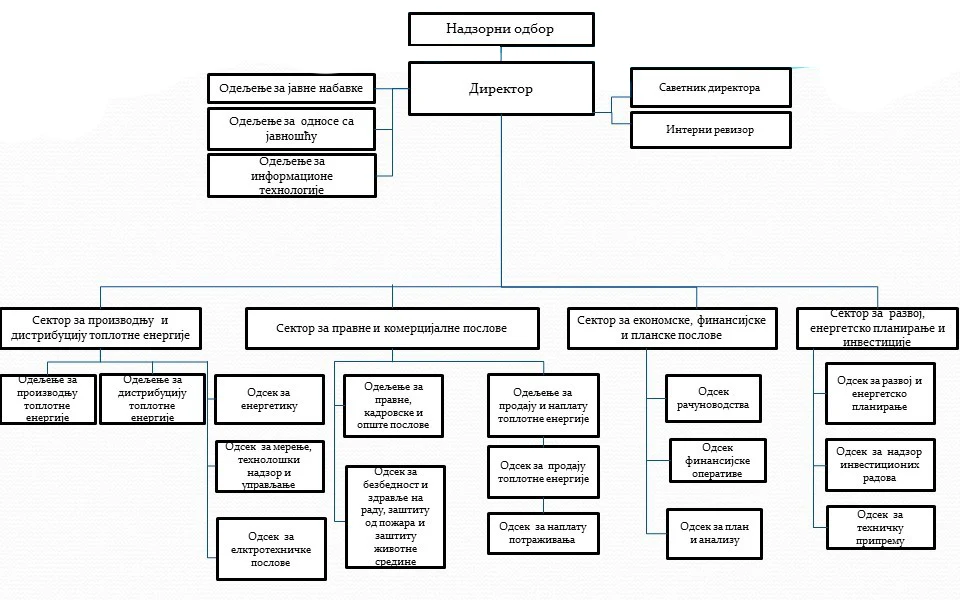 Organizaciona struktura